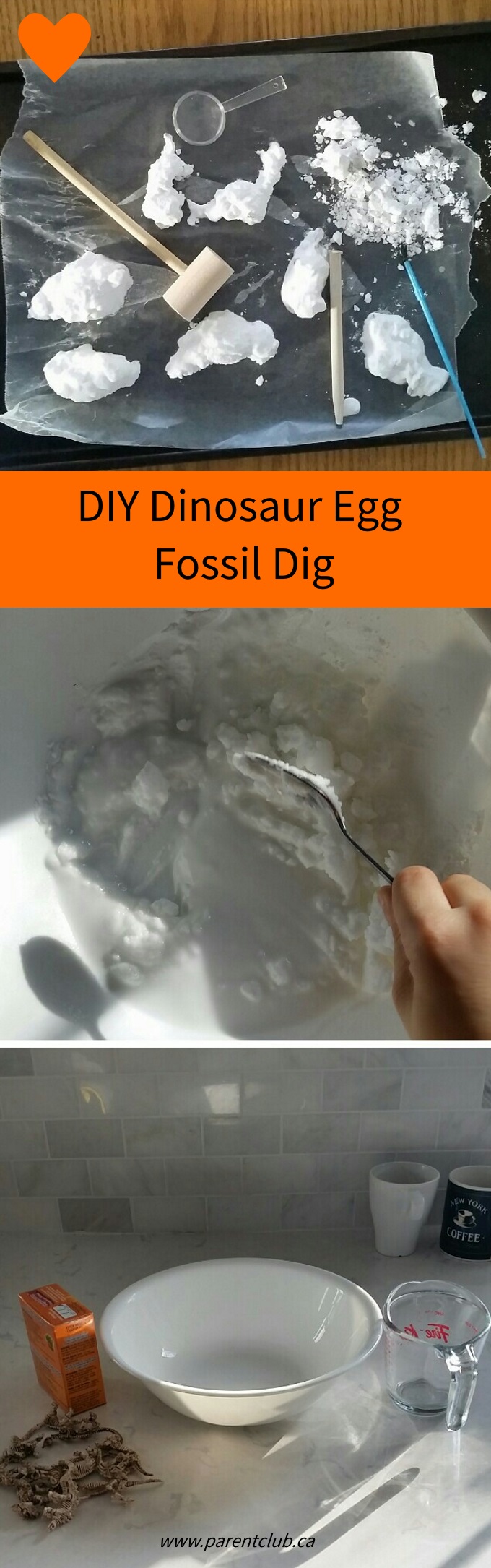 Scava fossili di uova di dinosauro fai-da-te tramite www.parentclub.ca