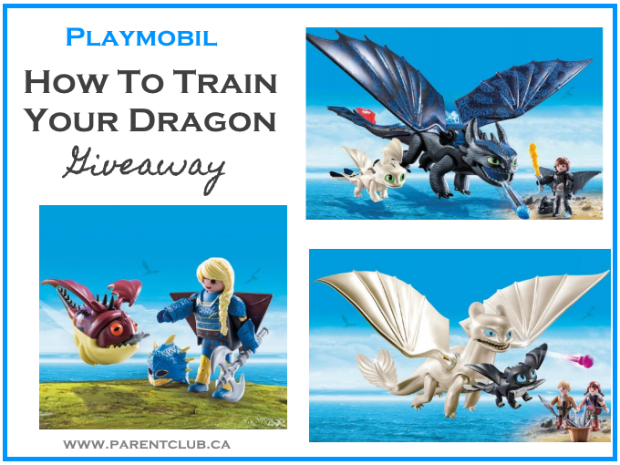 Playmobil Come addestrare il tuo drago in omaggio -